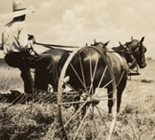 Preacher Garner with hay June 1939